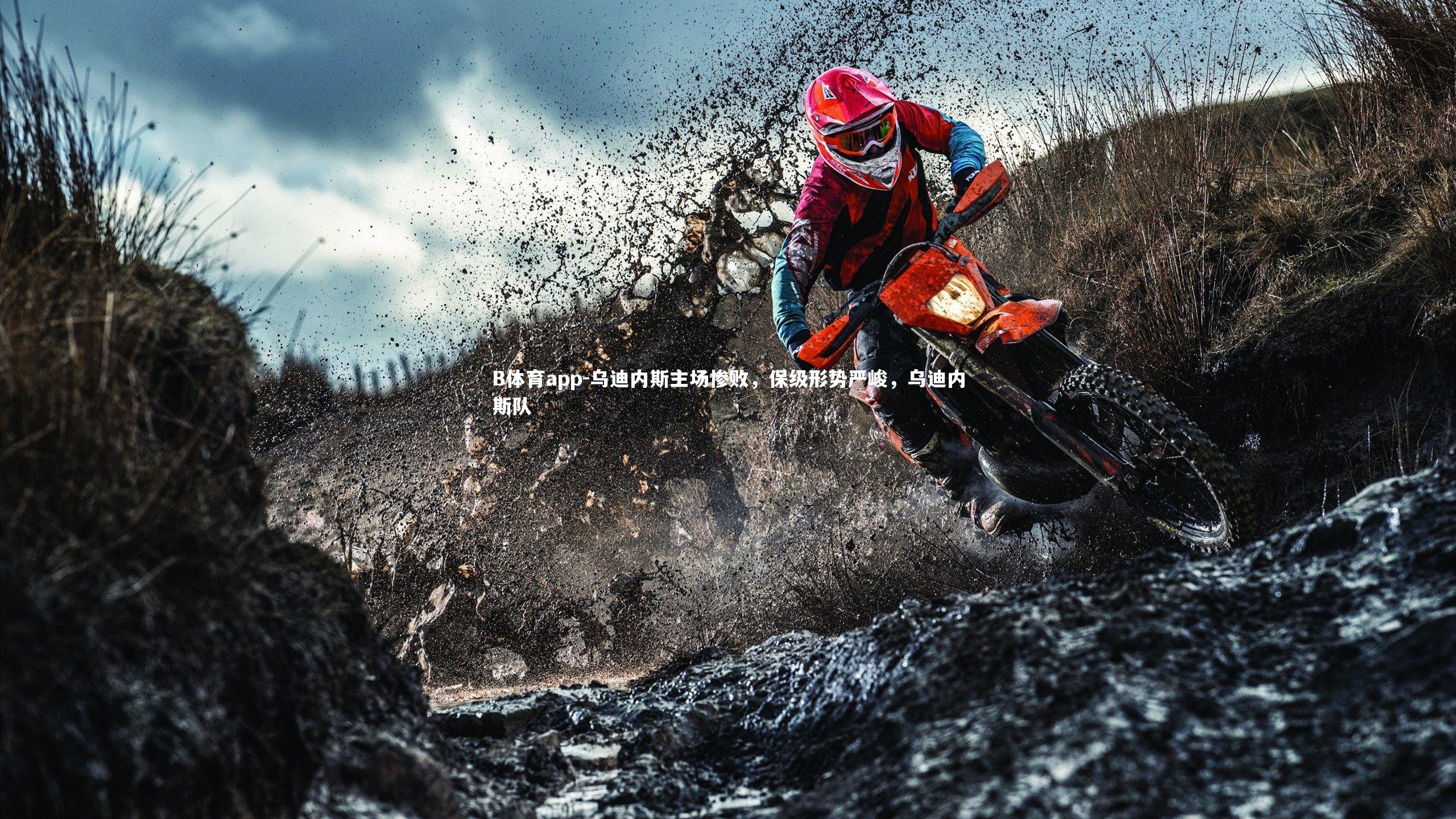 B体育app-乌迪内斯主场惨败，保级形势严峻，乌迪内斯队