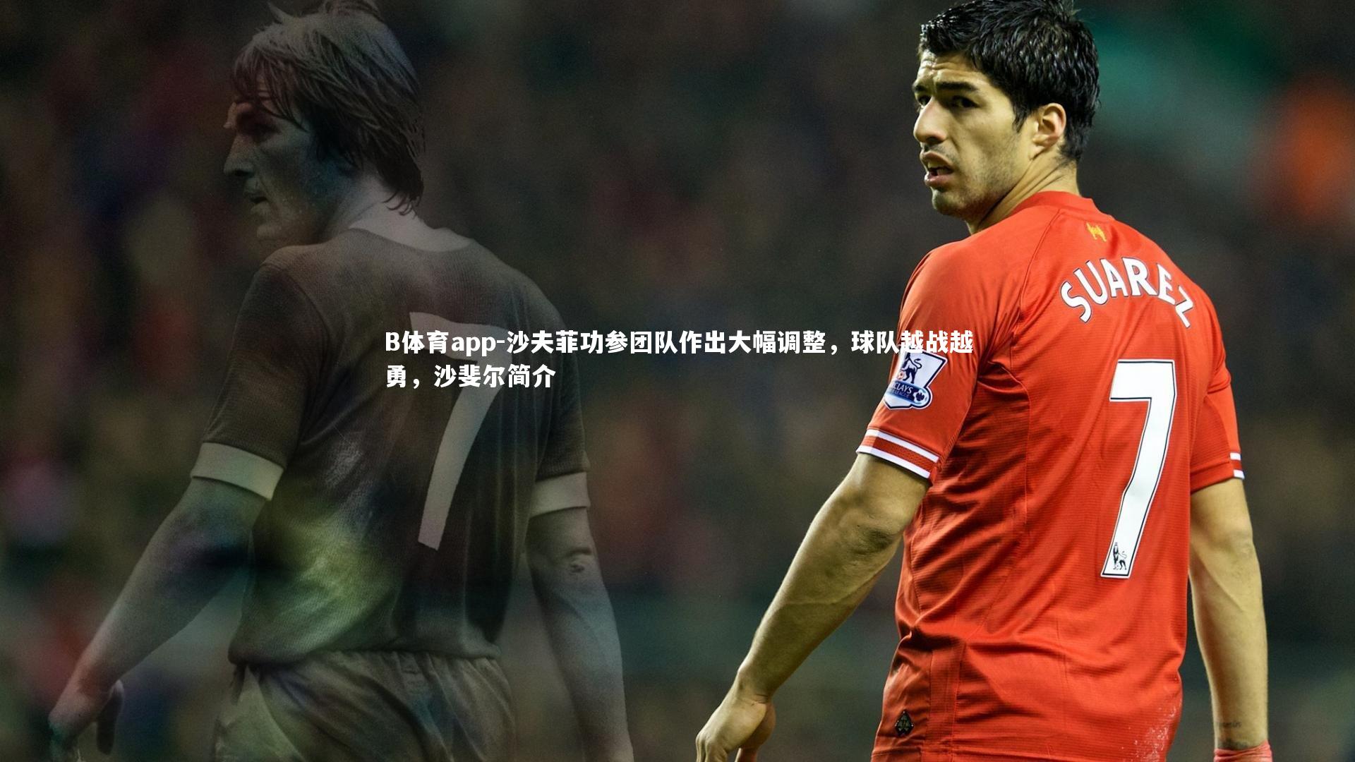 B体育app-沙夫菲功参团队作出大幅调整，球队越战越勇，沙斐尔简介